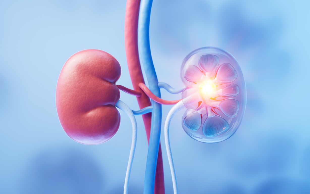 Effect of Testosterone Treatment on Leucocyte Telomere Length in Men: Results From a Randomised Placebo-Controlled Trial